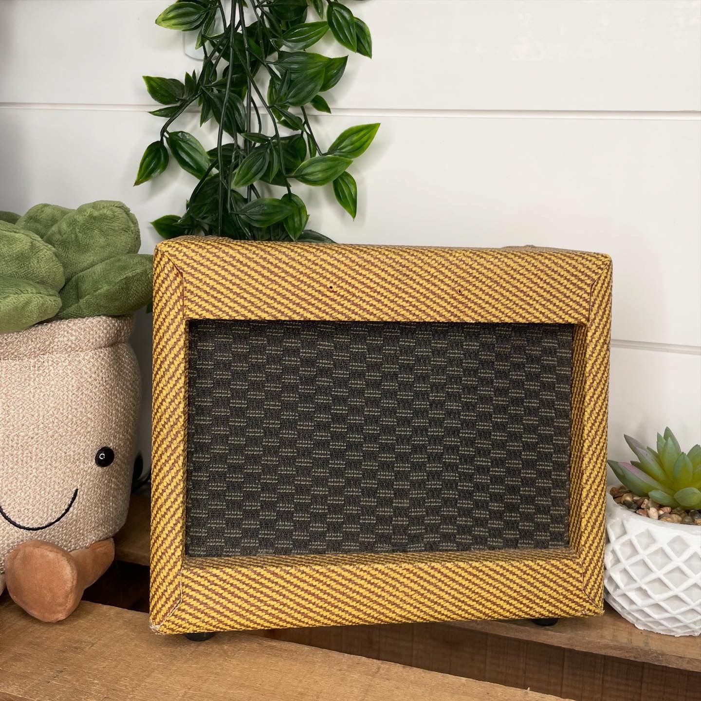 Epiphone Mini Tweed Battery-Powered Guitar Amp – Vintage Style