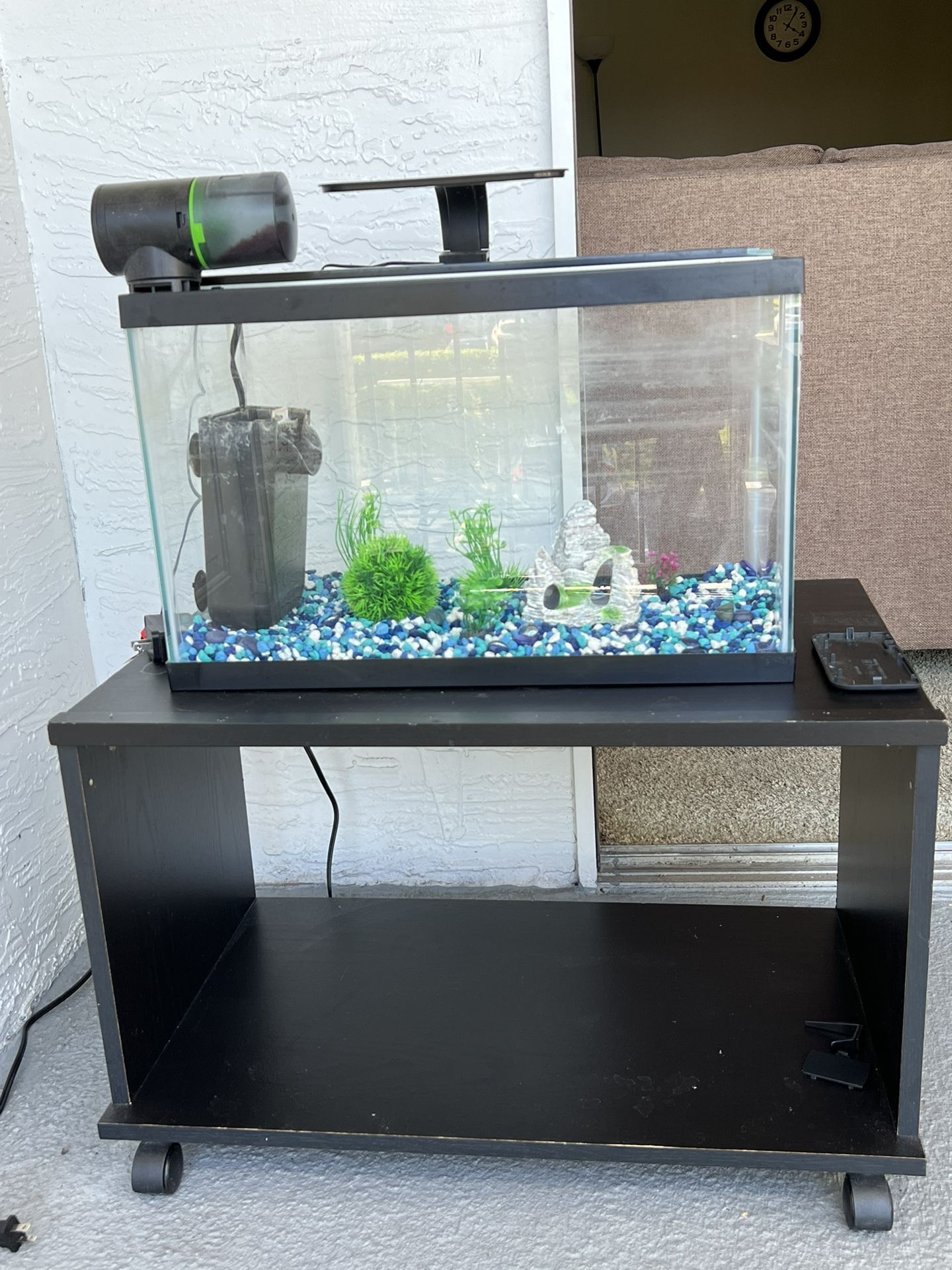 Aquarium full set up with automatic food dispenser