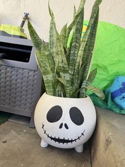 Nightmare Before Christmas, Jack Planter
