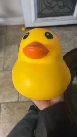 Duck squishy
