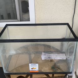 Fish Tanks 20x10x12” High