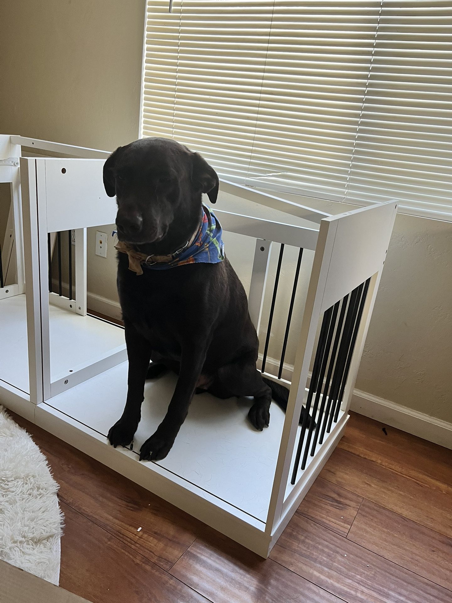 Wooden Furniture Style Dog Crate