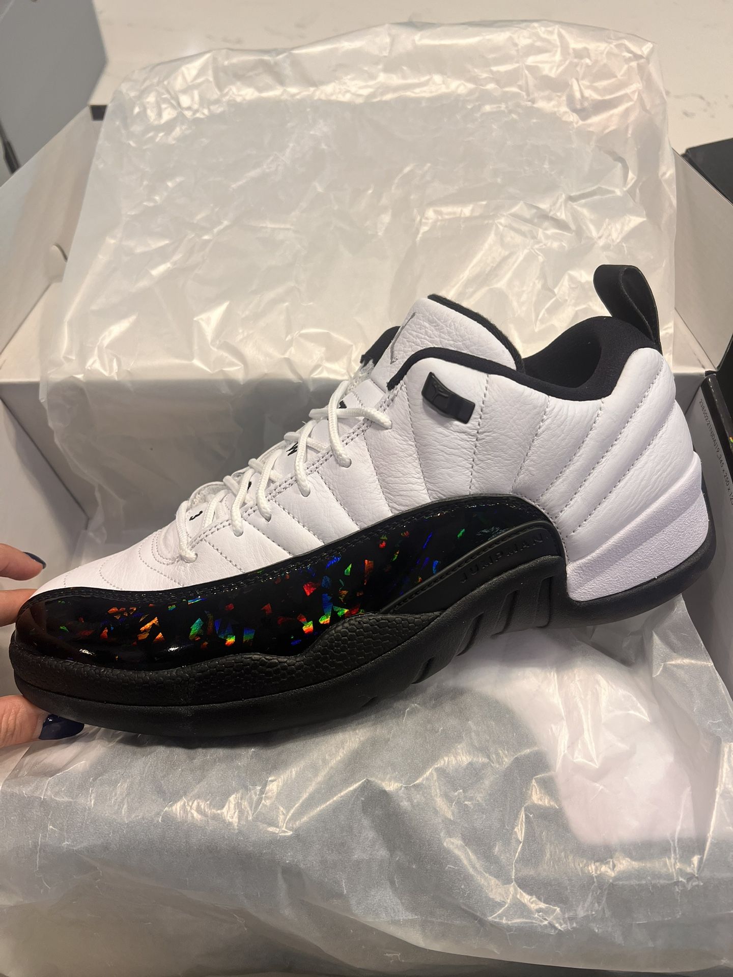 Mens Jordan 12’s