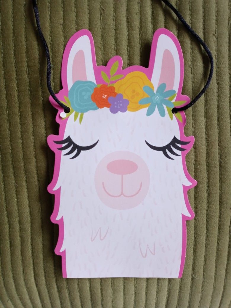 Llama Theme Birthday Party Supplies