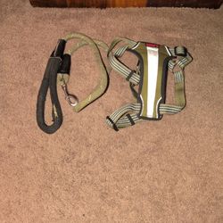 Kong Harness with leash
