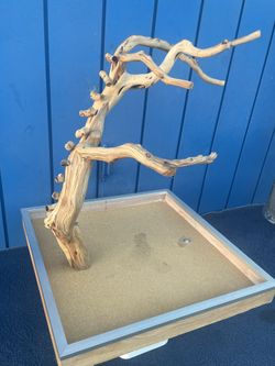 One Of A Kind Parrot 🦜 Sand Blasted Manzanita Playpen Counter Top Or On Base ( Great Detail Work !