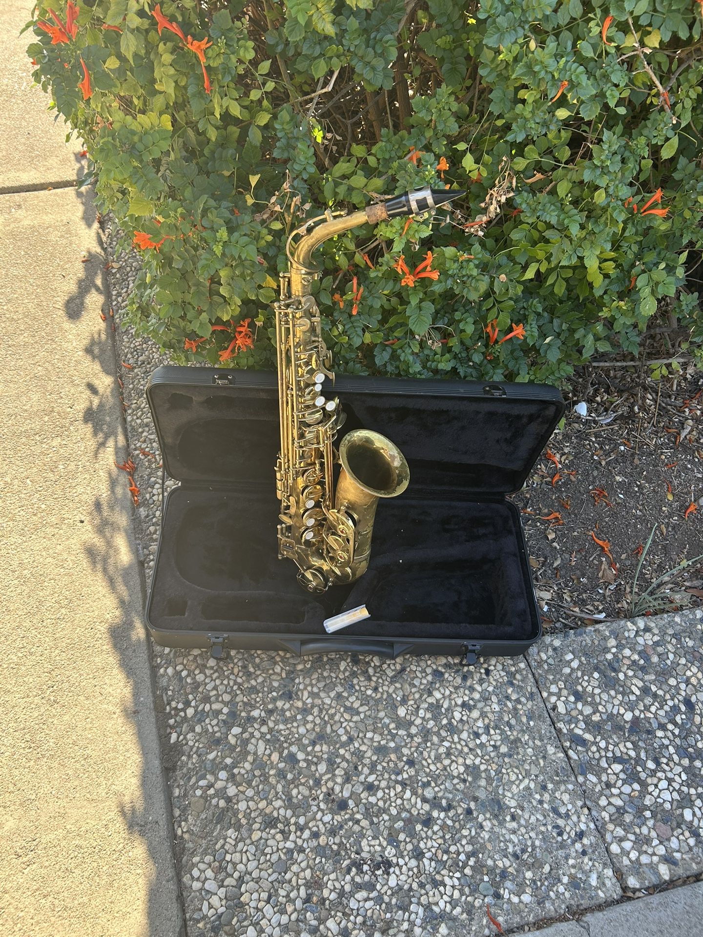 Cecilia ByMondili Auto Saxophone