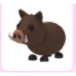 Wild boar! (Roblox adopt me pet) (egg:safari egg) can't get this pet  anymore ! For trade or buy for Sale in St. Cloud, FL - OfferUp