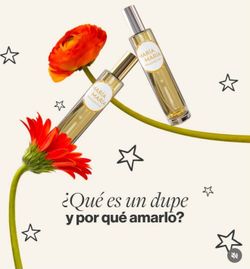 Parfum perfumes dupes MARÍA MARÍA DUPES .