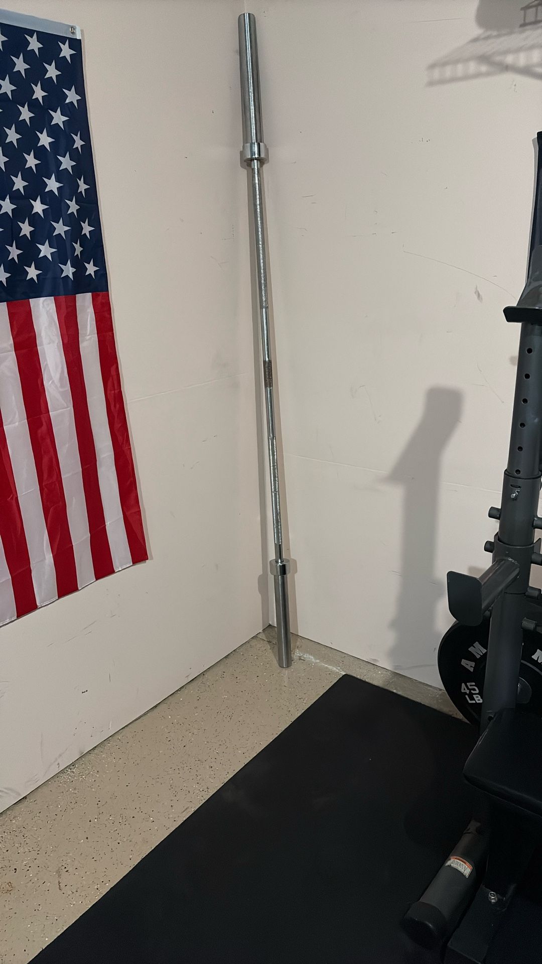 Barbell - Men’s 45lbs