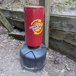 Kick Boxing Punching Bag