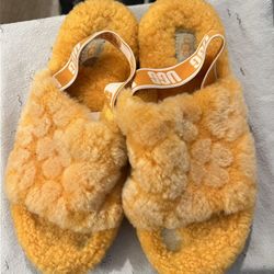 UGG Slippers 