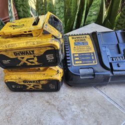 Two DeWalt Batteries With Charger
