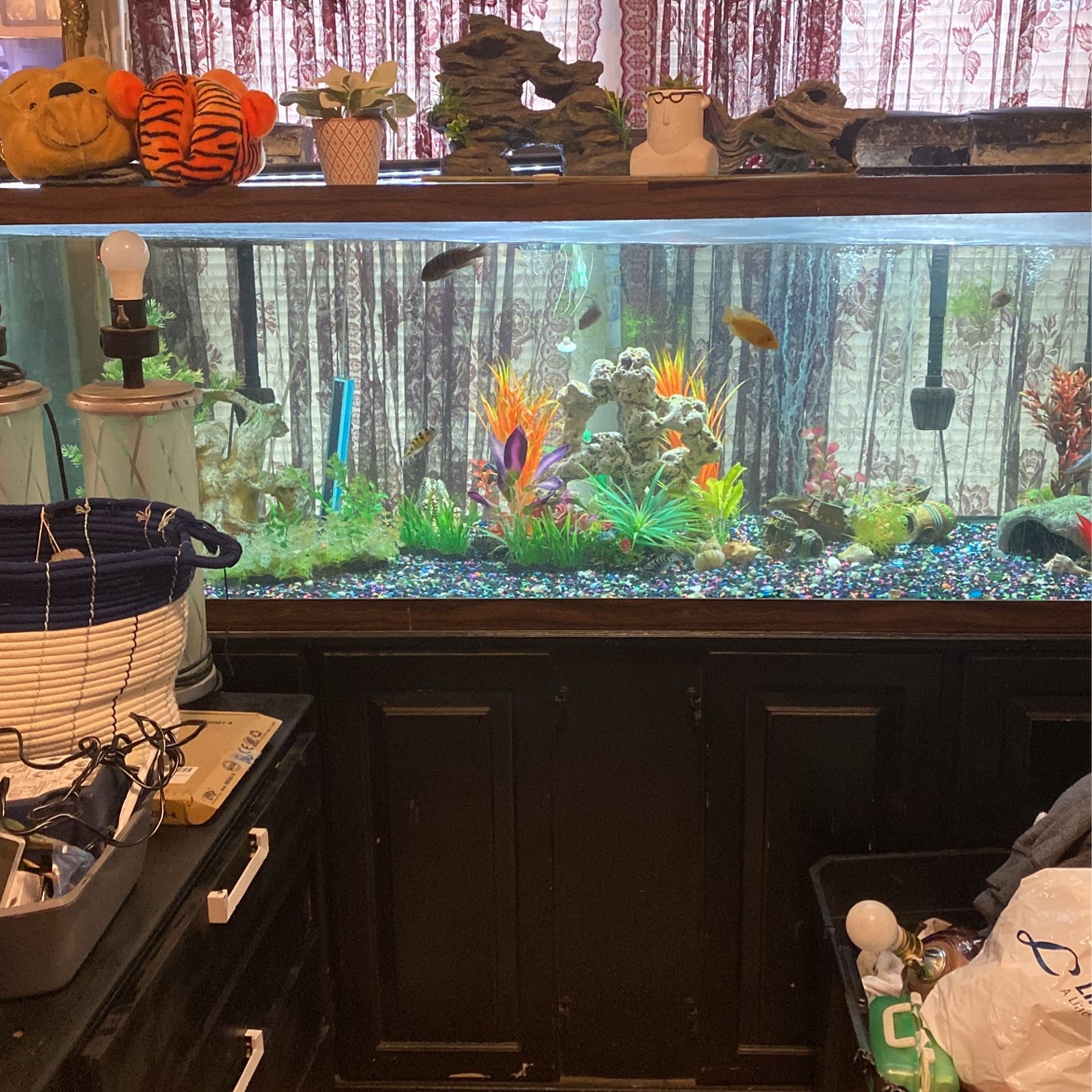 180 Gallon Aquarium