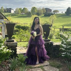 Gorgeous Purple Prom Dress 