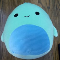 Squishmallow 