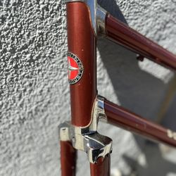 1973 “LADIES” SCHWINN PARAMOUNT Campagnolo Cranks 