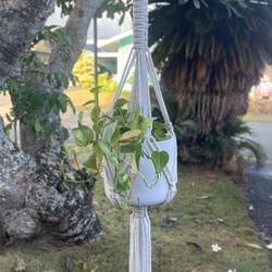 Macrame Plant Hanger