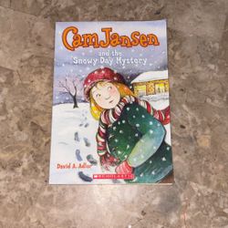 CamJanSen and the Snowy Day Mystery 