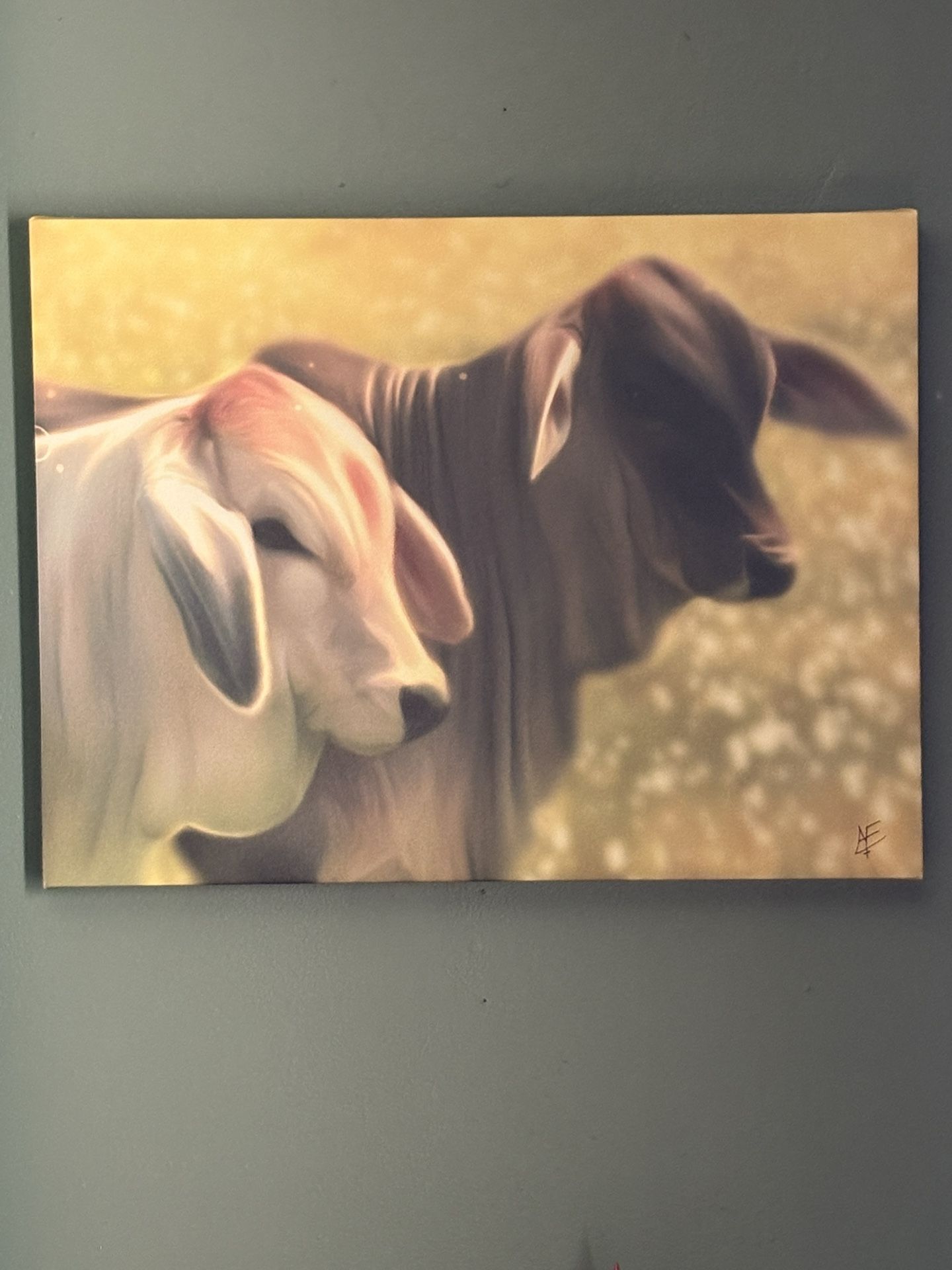 Art Brahma Cows