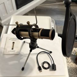 Portable Microphone Gold Color 