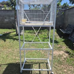 Bird Cage 