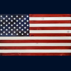 US Flag Gun Concealment Gun Case