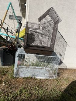 Bird Cages