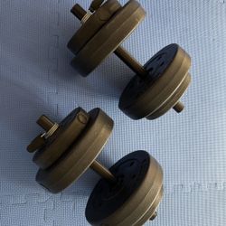 Adjustable dumbbells. Max 15lbs Each. 