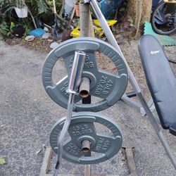 PAIR OF EZ GRIP 45s = $90  /  EZ  CURL OLYMPIC BAR = $50 / 6 FOOT OLYMPIC  BAR =  $60  +  KETTLEBELLS / DUMBBELLS /  BENCHES  AVAILABLE 