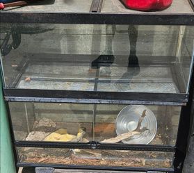 2 50 gallon tank