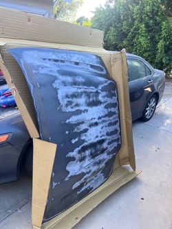 16-23 Toyota Tacoma Hood (OE)