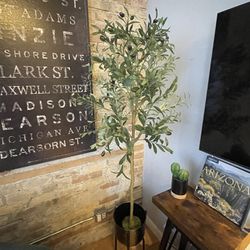 Fake olive tree Plant + Holder