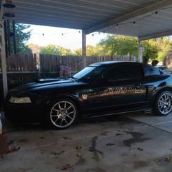 2003 Ford Mustang
