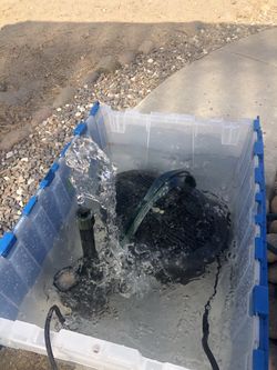 Aquapond water fountain pump