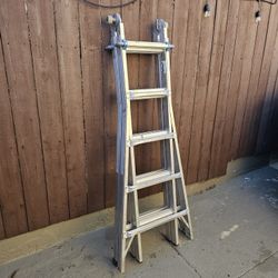 Werner 22 Ft. Reach Height Type IA Aluminum Multi-Position Ladder
