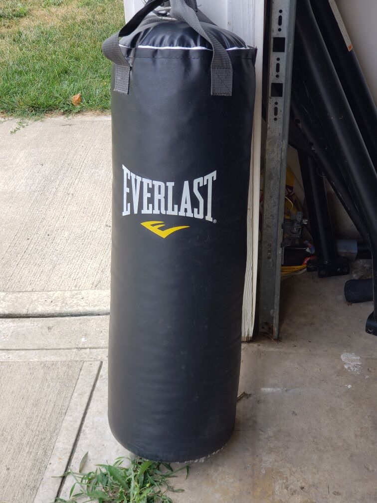 Everlast punching bag