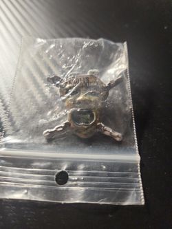 Knotts Berry Farm Pin