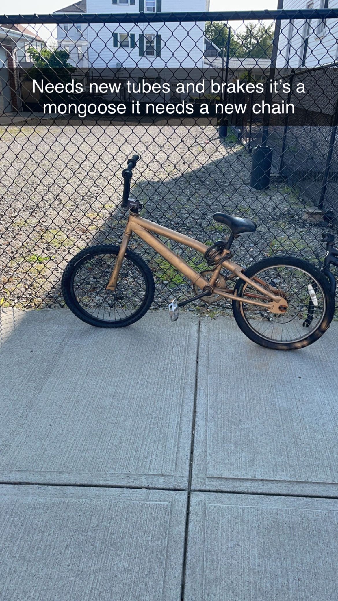Mongoose 