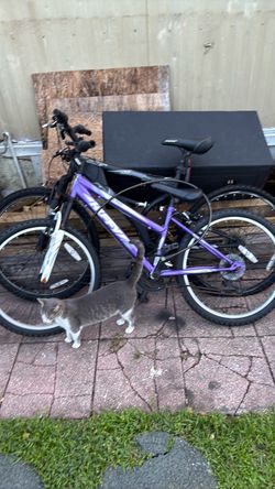 Huffy Bike
