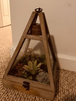 Succulents center piece