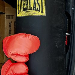 Everlast 100 Lb Hanging Bag W/ Chains And Gloves