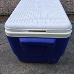 Igloo Cooler 