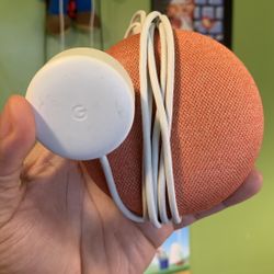 Google Nest Mini