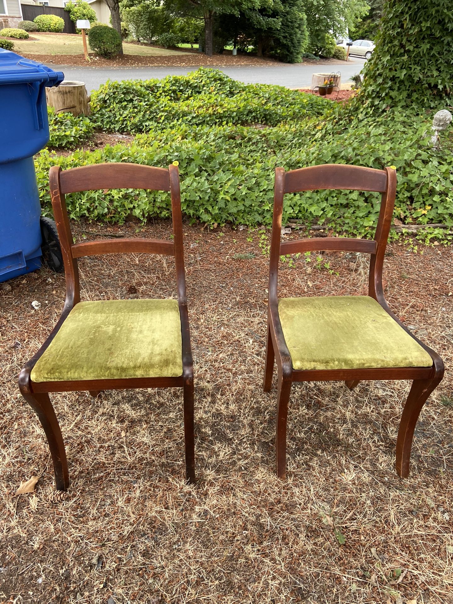 Mid century antique chairs
