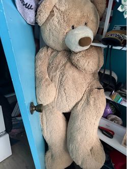 Big 🤎 bear