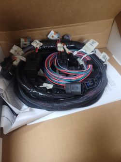 Holley Hemi Main EFI Harness 558-106