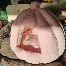 New Pet Bed
