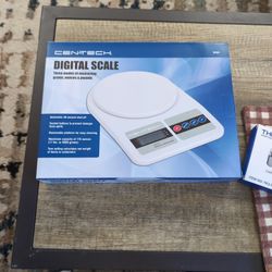Digital Scale