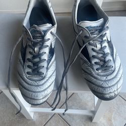 Mizuno Morelia